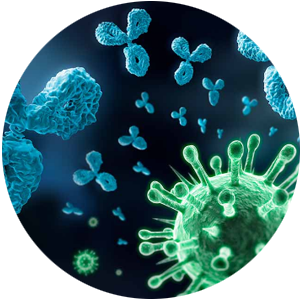 Nhiễm virus, vi khuẩn, nấm
